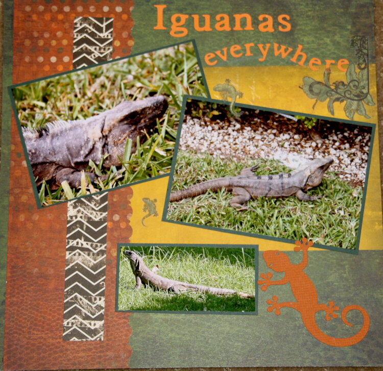 Iguanas everywhere page 2