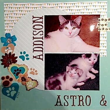 Addison, Aspen and Astro page one