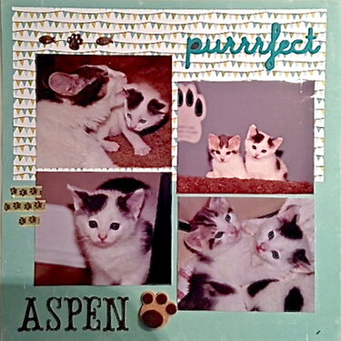 Addison, Astro and Aspen