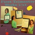 First Trimester