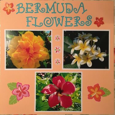 Bermuda Flowers