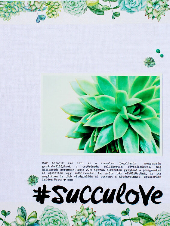 #succulents love