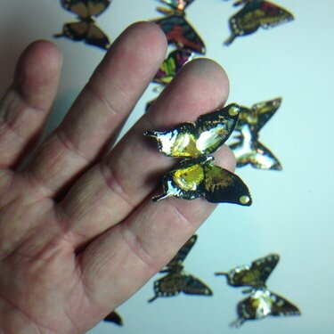 Butterfly embellishments