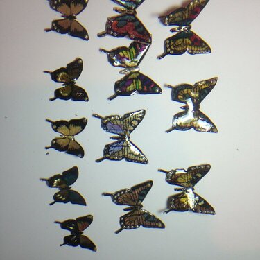 Butterfly embellishments