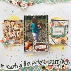 "In search of the perfect pumpkin"