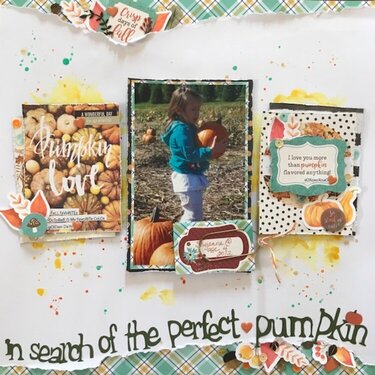 &quot;In search of the perfect pumpkin&quot;