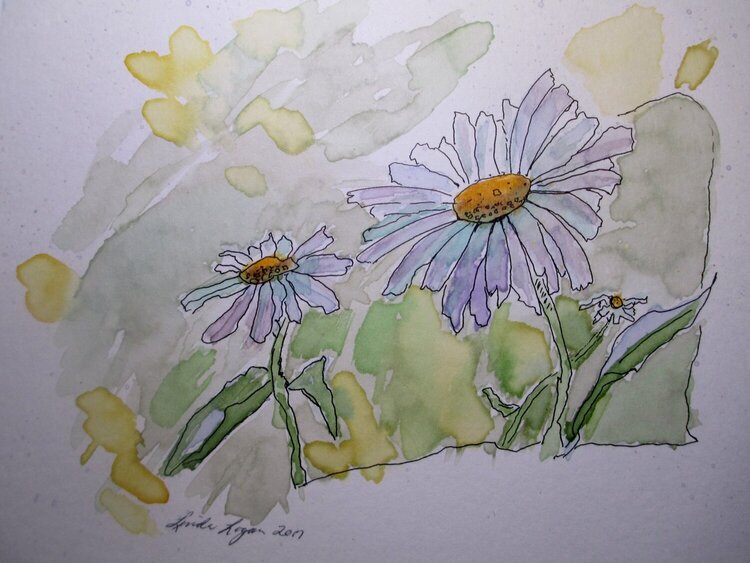 Daisy&#039;s Watercolor painting