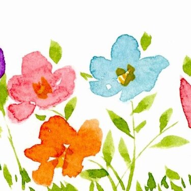 My Watercolor flowers