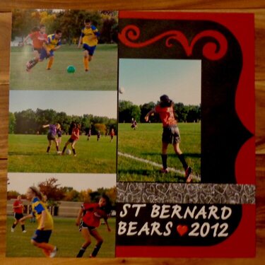St Bernards Bears