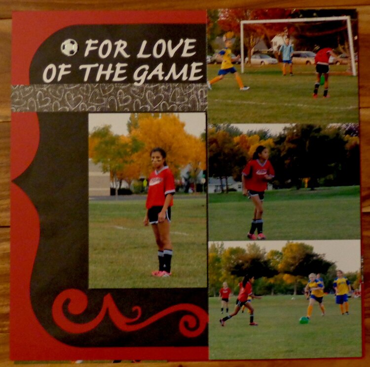 For Love of the Game