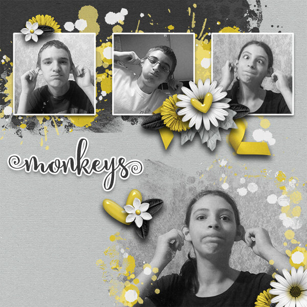 Monkeys