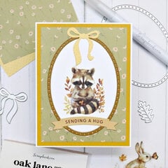 Sending a Hug - Raccoon