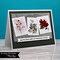 Paper Rose | Poinsettia Garden | 18 cards