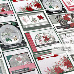 Paper Rose | Poinsettia Garden | 18 cards