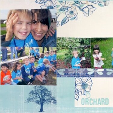 Orchard