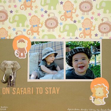 On Safari to Stay