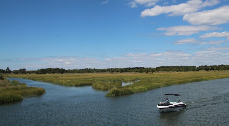 Salt Marshes in Cape May NJ