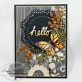 Hello- Butterfly Card
