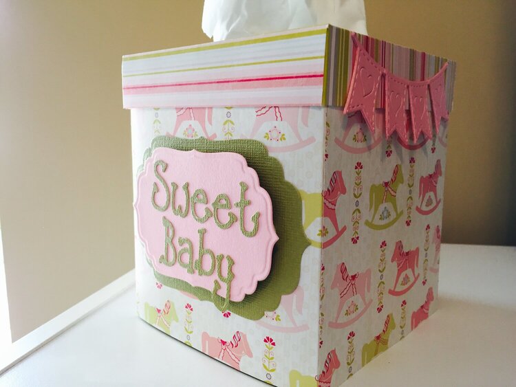 Baby Girl Tissue Box
