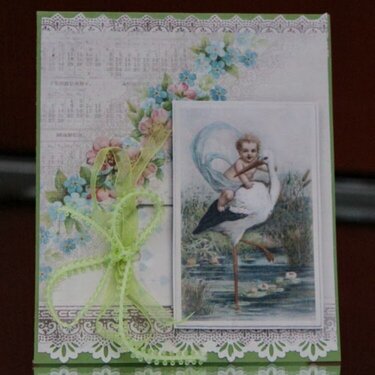 Pion baby card