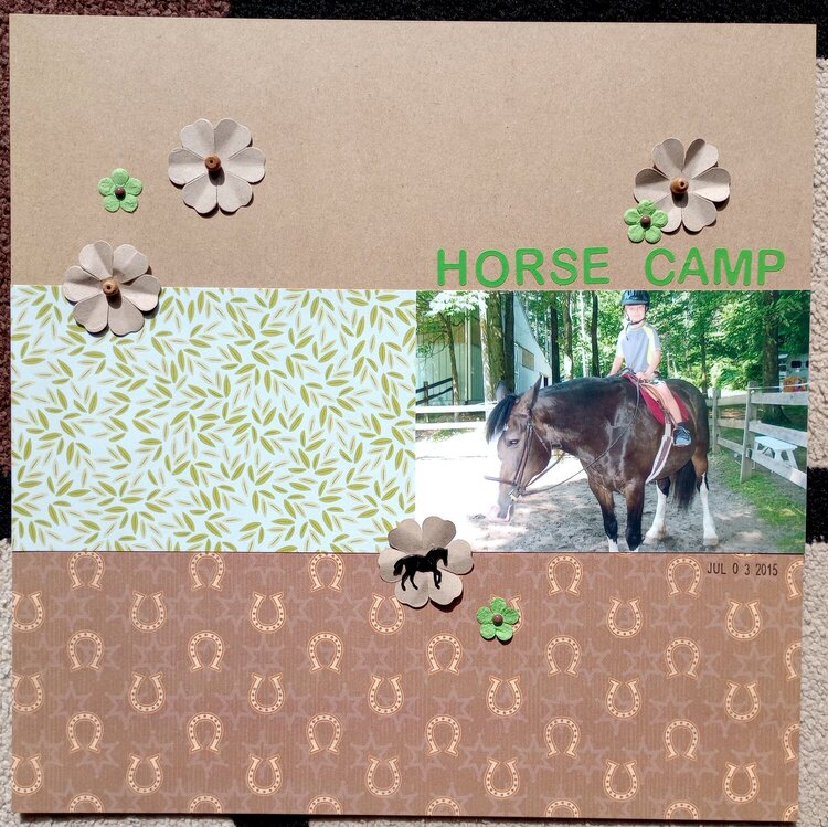Horse camp 