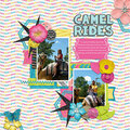 Camel Rides