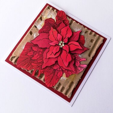 Poinsettia Christmas Card