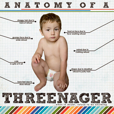 anatomy of a threenager