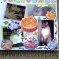 My Feline Family:  Pebbles, Dexter & Sandy, Page 2