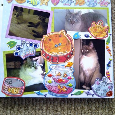 My Feline Family:  Pebbles, Dexter &amp; Sandy, Page 2