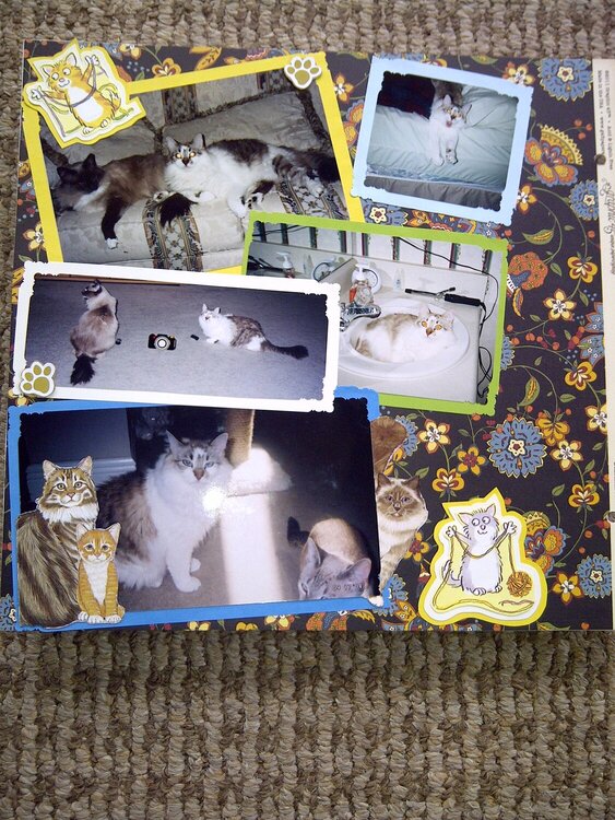 My Feline Family:  Pebbles (R.I.P.), Dexter &amp; Sandy, Page 1