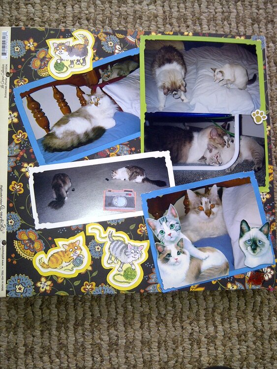 My Feline Family:  Pebbles (R.I.P.), Dexter &amp; Sandy, Page 2