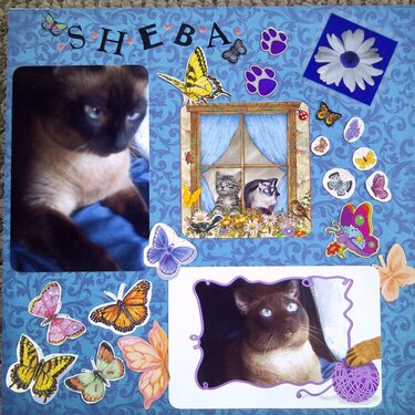 My Feline Family:  Sheba, Page 1