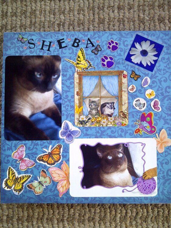 My Feline Family:  Sheba, Page 1