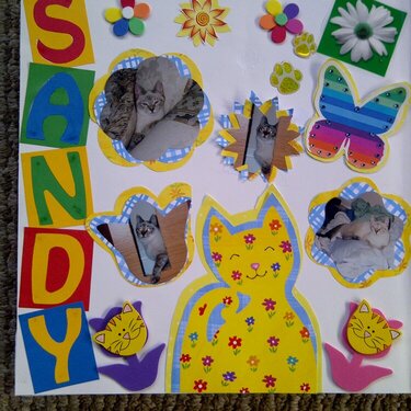 My Feline Family:  Sandy, Page 1