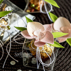 Orchid Gift Topper