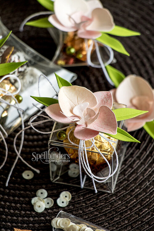 Orchid Gift Topper