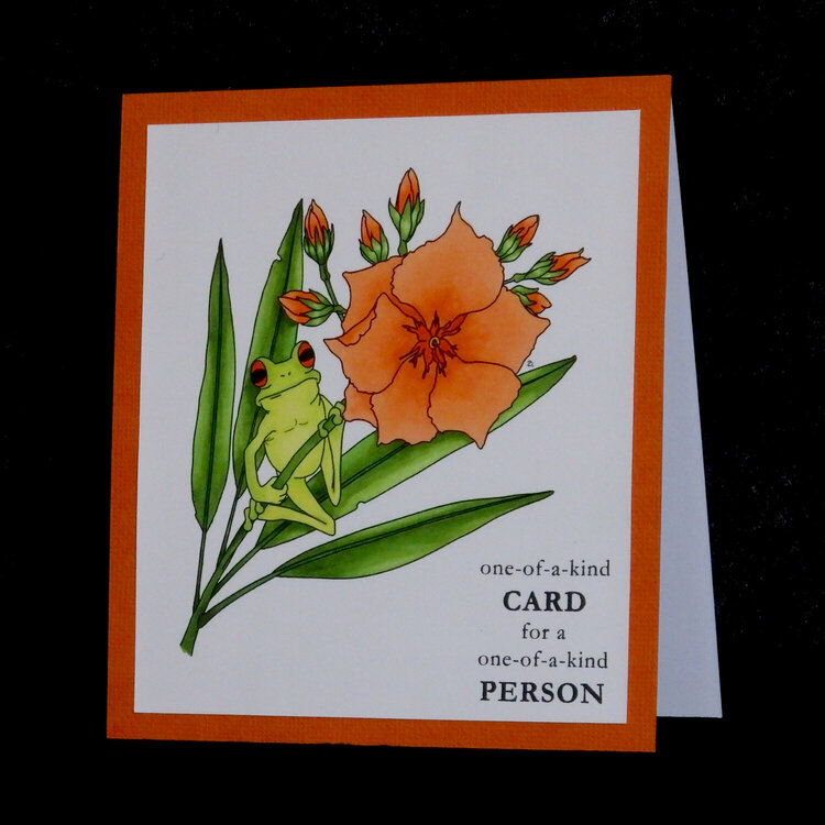 Frog and Oleander birthday card