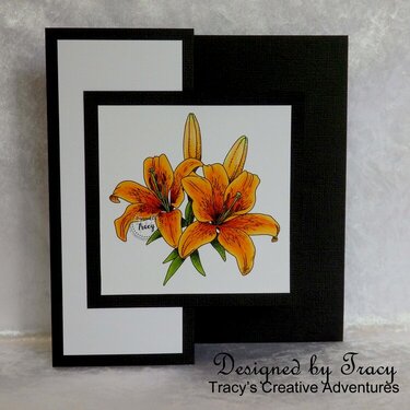 Lovely Lillies - open front view