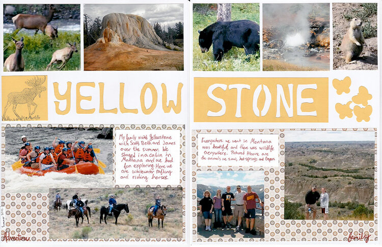 Yellowstone Vacation
