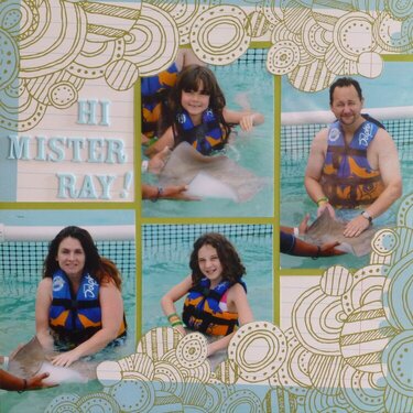 Hi Mister Ray
