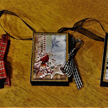 2 x 3 mini accordian album ornament 