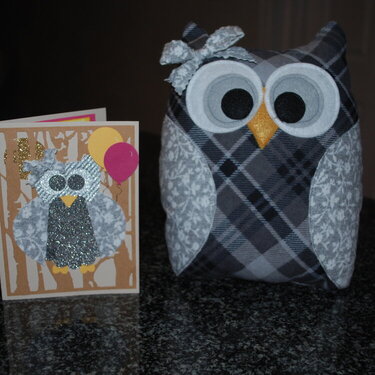 Owl Pillow with matching card.