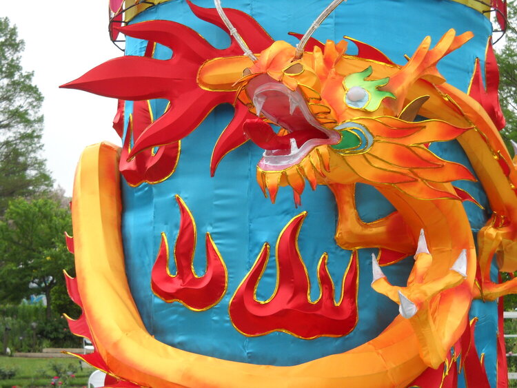 FIRE DRAGON (mini#2)