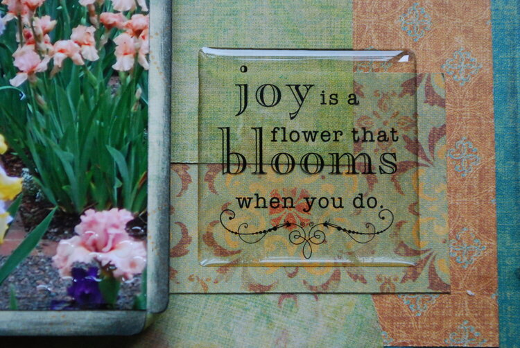 Joy Blooms
