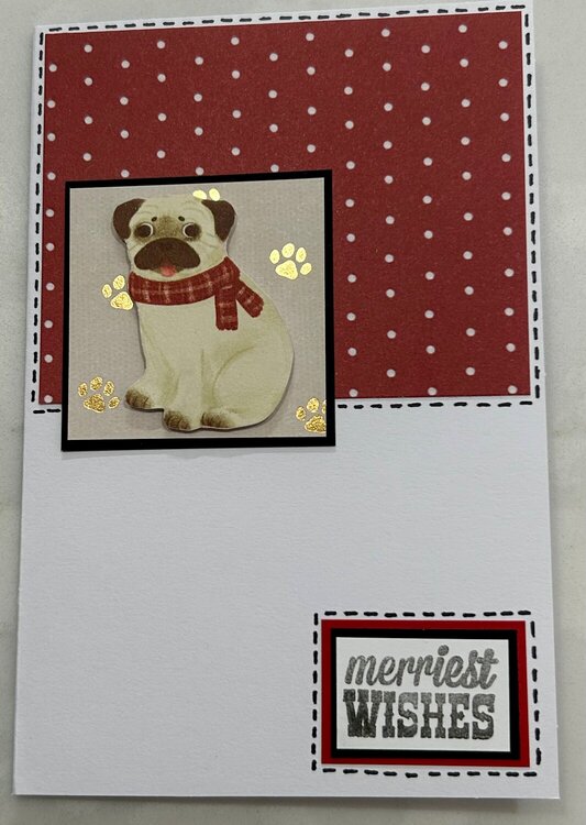 Pug Christmas Card