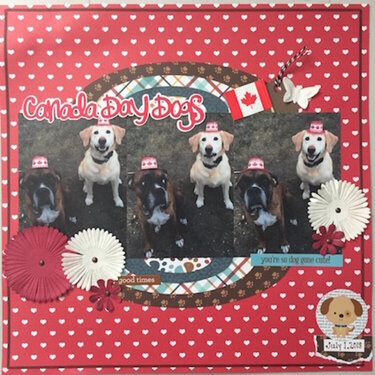 Canada Day Dogs
