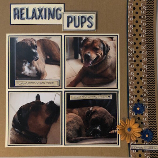 Relaxing Pups