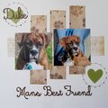 Duke: Man's Best Friend