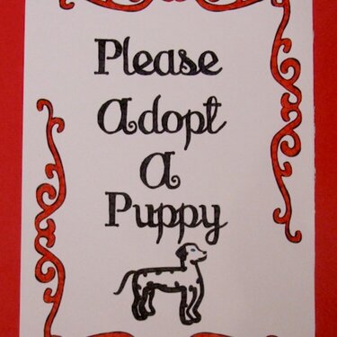 Please Adopt a Puppy